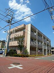 パルム・ドール