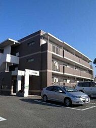 フェリシャス 205