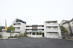 Ｓｈａｍａｉｓｏｎ　Ｓｔｅｌｌａ　Ｒｉｓａｉａ