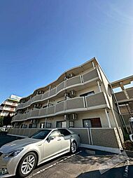 フィール白い雲