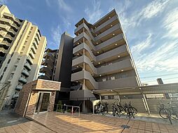 アルバータVII 205