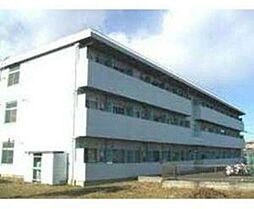 石井マンションピーコック