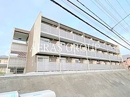 ミランダブルーアゼリア