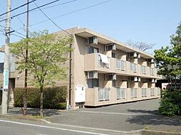 endloslieben エントロースリーベン 203