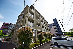 コモドプレッソ 204