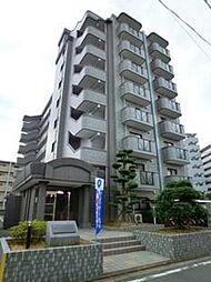 マンハイム板付 703