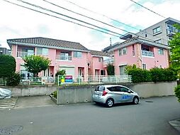 コンステラシオン 101