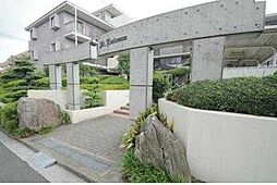 セントエミネンス 307