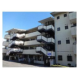 グランドール・ノブ