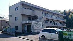 グリーンハイムコダイ