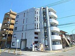 AVENUEII アヴェニュー 501