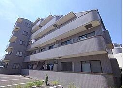 第二宮前平中央ハイツ 205