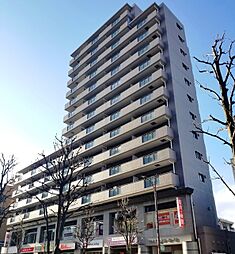 ワイズエメリールU 305