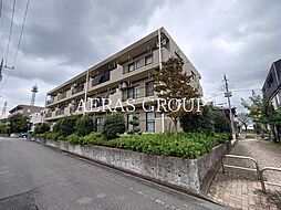 ラピュタＴＡＭＡ