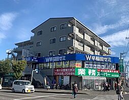エテルナ・ルミエーラ芝