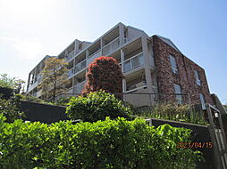 花水木ガーデンヒルズ玉川学園 302