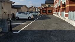 レオネクストミモザ