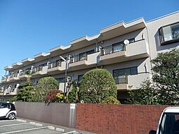 ブエナ ヴィスタ