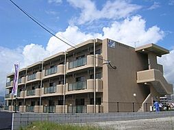 Ｙ・ＭコスモスＩＩ 102