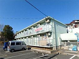 ルミニコスモス 102