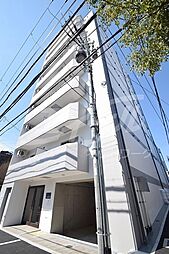 SURF　ISLAND　SAN　SEBASTIAN