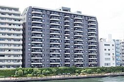Ｌａｐｙｕｔａ 1206