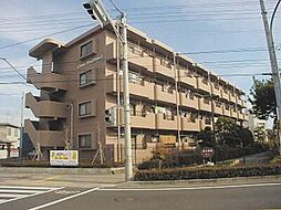 富士市本市場