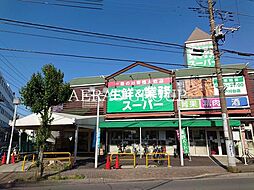 セルフィール江戸川台