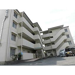 ヤマイチPLAZA　シカゴ
