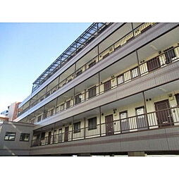 ヒルズヴァンベールＤ棟 504