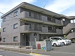 ビューバレー 101