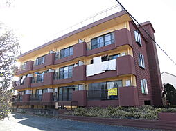 パレ・ソーカル 305