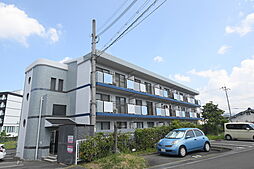 サンライズ・マゼミ