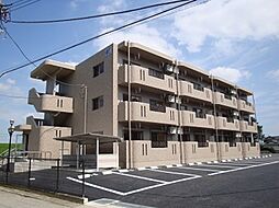 Ｙ＆Ｍ　ＳＡＫＵＲＡ 101