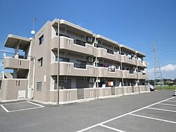 Ｙ＆Ｍアグリザード 303