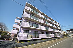 原当麻Ｍハイツ 103