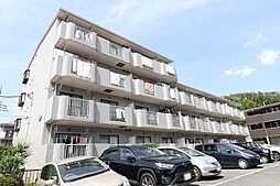 第2コスモスヴィラ 204