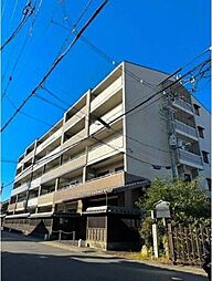 プロスペクト桂