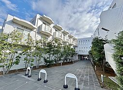 ＰＬＵＳＨ−ＧＡＲＤＥＮＳＰＡＣＥ 313