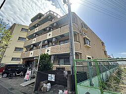 ロジェ・ル・マロニエ 501