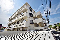 ラベンダーライト 305