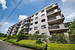 カスタネア栗平2番館 510