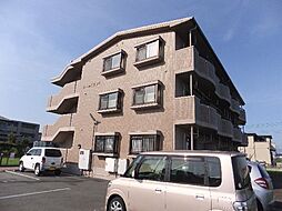 ゴールドランド 202