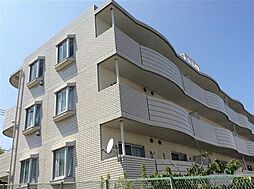 チェリーブロッサム