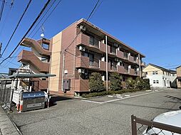 オードピュール 203