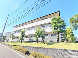 ガーデンルピナス