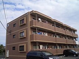 ジェネシス大島Ｃ棟 301