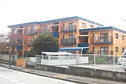エクセル白井 202