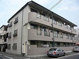 南埜マンション赤塚