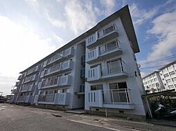 フォーサイト紫Ｒ・Ｖｉｅｗ　ｔｅｒｒａｃｅ 305